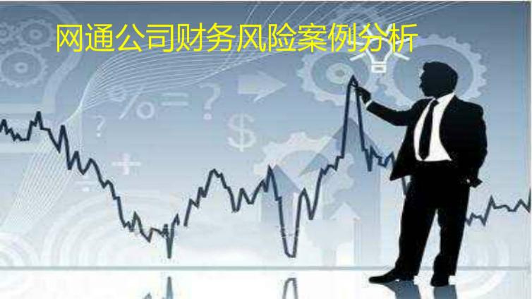 網(wǎng)通公司財務風險案例分析