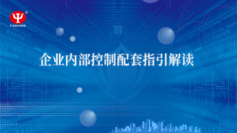 企業(yè)內(nèi)部控制配套指引解讀 